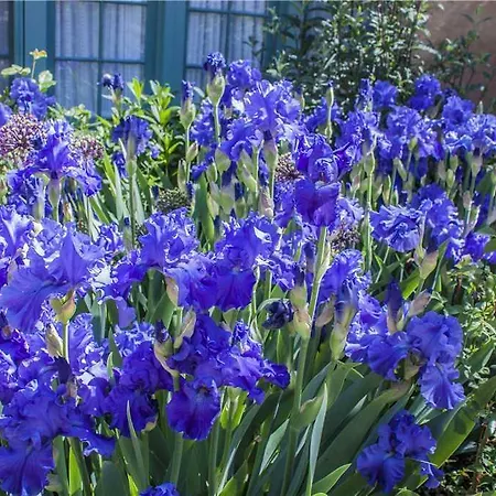 Historic Garden Retreat Four-bedroom Holiday home *